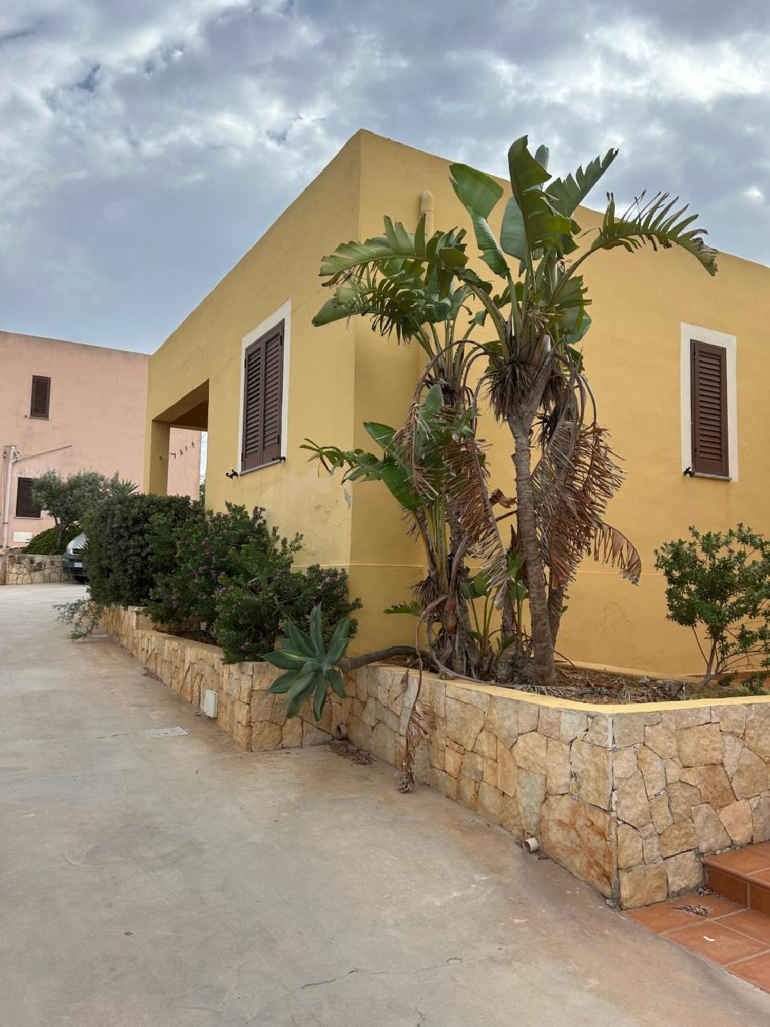 Dell' Acqua Lampedusa